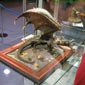 Golden Daemon