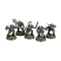 Iron Wolf Scouts Iron Wolf Scouts