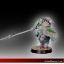 Space Marine Champion Space Marine Champion