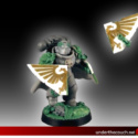 Space Marine Champion Space Marine Champion